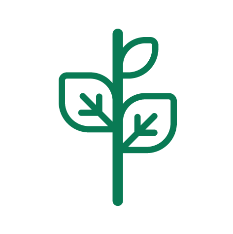 green_environment.png